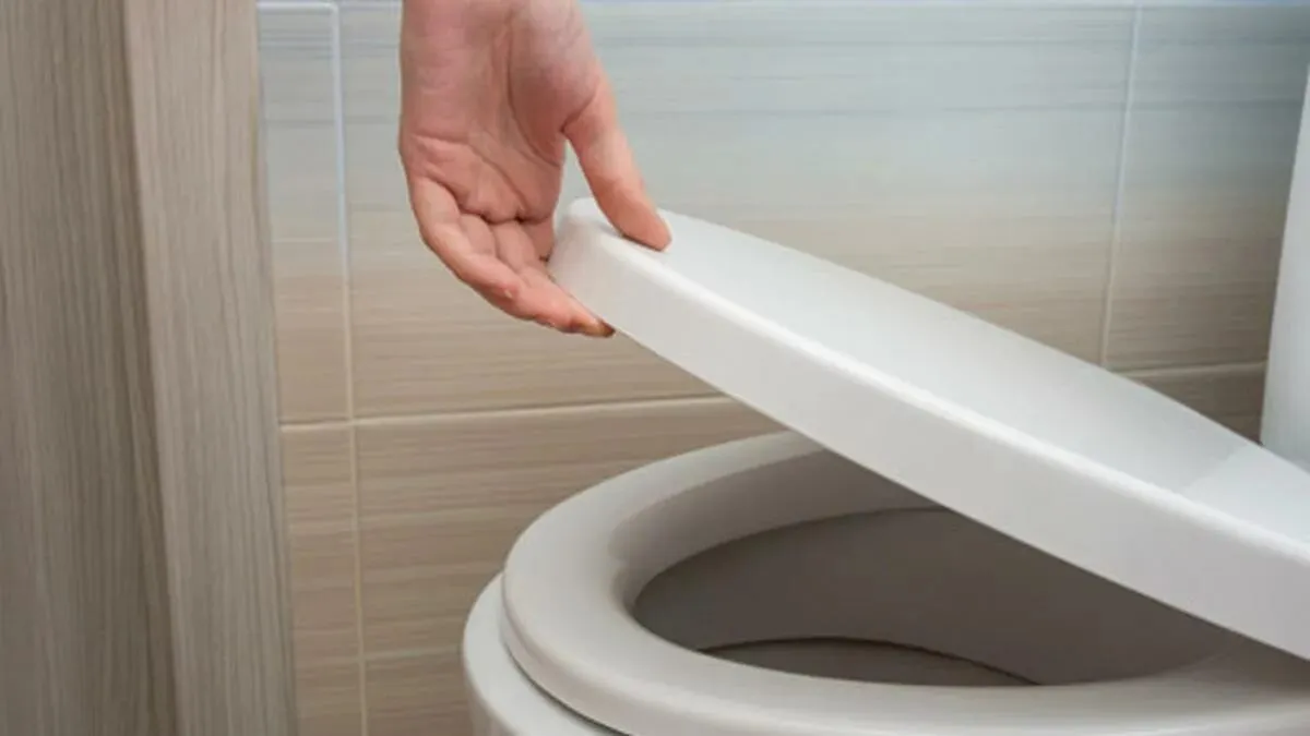 Toiletten in Japan: hoe technologie en traditie samenkomen